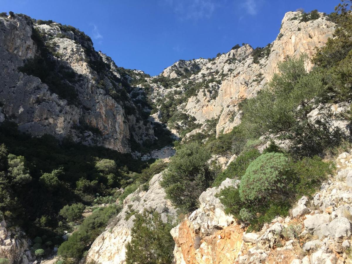 Aparthotel Cav Mameli Dorgali Exterior foto